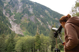 Wildlife Viewing - looking for mountain goats