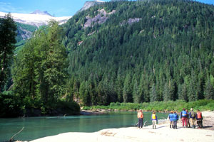 Looking for grizzly bear tracks in the sandbar