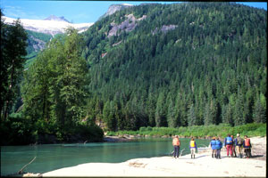 Looking for grizzly tracks on the sandbar