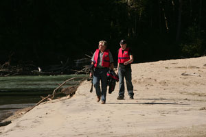 Sunshine on the sandbar