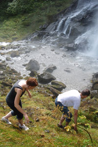 Wild waterfalls
