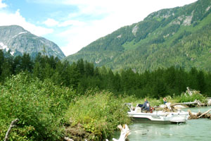 Wilderness Exchamsiks River Tour by jet boat