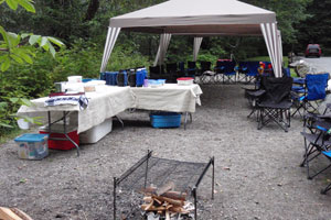 Wild Sockeye Salmon Riverside Barbecue