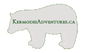 Kermodei Adventure Tours