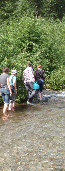 Walking in the stream with the spawning salmon